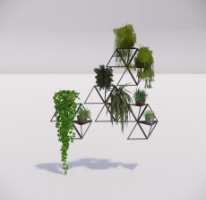 植物_002_室内设计模型