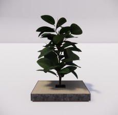 植物_001_室内设计模型
