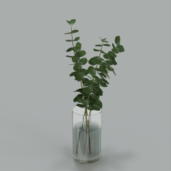 植物1-2