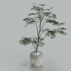 摆件2-241